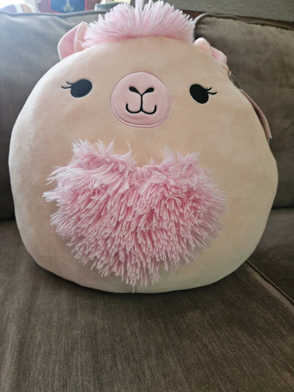 Squishmallows Carlee Pink Llama Plush – Original – NWT